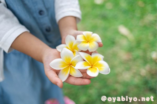 生まれ変わり＆前世が本当にあるか？よりも大切なこと