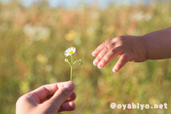 生まれ変わり＆前世を追体験できる前世療法